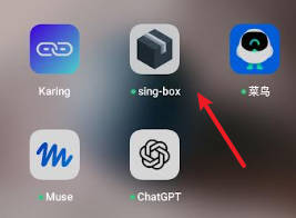 sing-box-anzhuo-1001.jpg